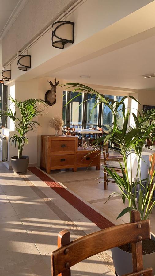 סרסדייה Corzo Hotel מראה חיצוני תמונה