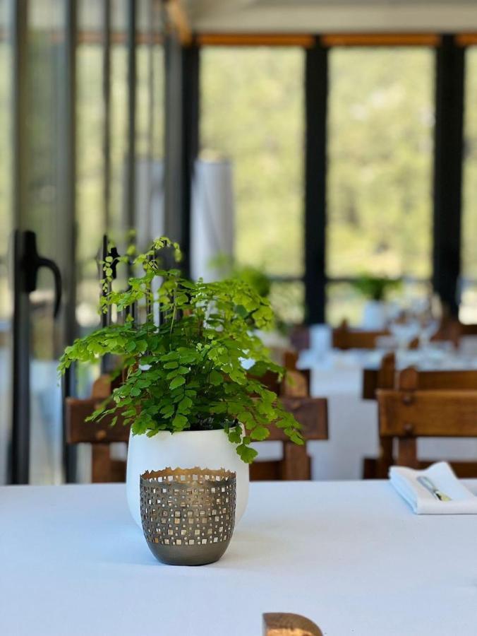 סרסדייה Corzo Hotel מראה חיצוני תמונה